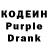 Кодеиновый сироп Lean Purple Drank Alina Kuzenko